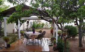 Garden Rooms